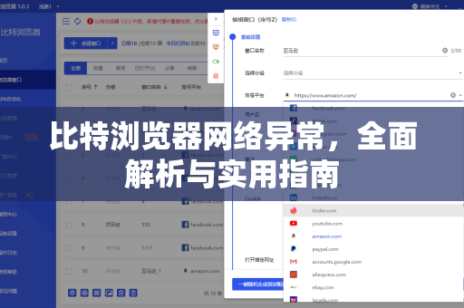 比特浏览器网络异常，全面解析与实用指南
