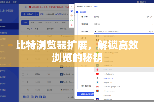 比特浏览器扩展，解锁高效浏览的秘钥