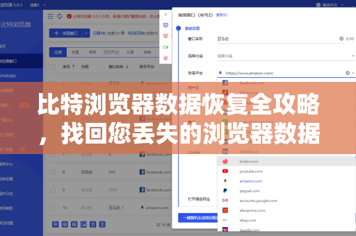 比特浏览器数据恢复全攻略，找回您丢失的浏览器数据与配置