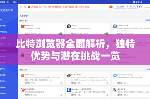 比特浏览器全面解析，独特优势与潜在挑战一览