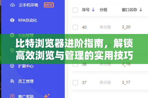 比特浏览器进阶指南，解锁高效浏览与管理的实用技巧