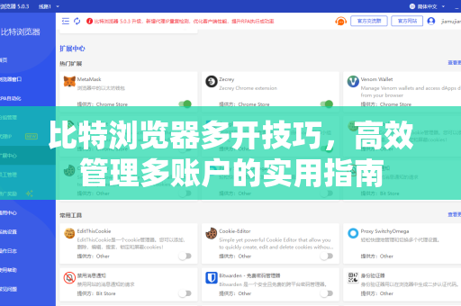 比特浏览器多开技巧，高效管理多账户的实用指南-第1张图片-比特浏览器下载_比特浏览器 | 即刻连接，共创价值