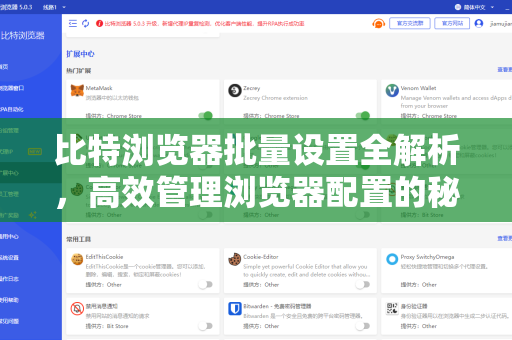 比特浏览器批量设置全解析，高效管理浏览器配置的秘诀