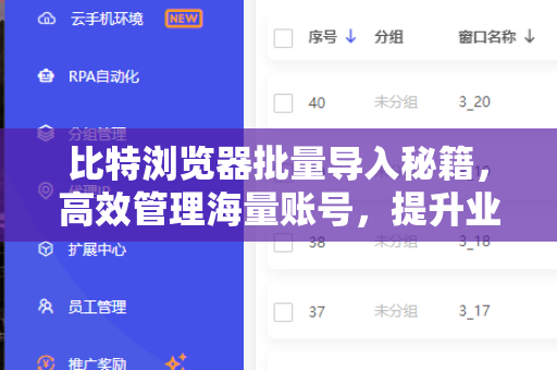 比特浏览器批量导入秘籍，高效管理海量账号，提升业务自动化效率
