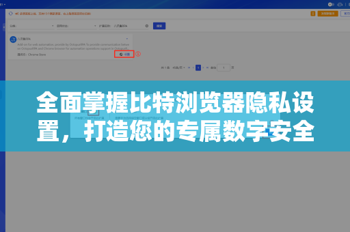 全面掌握比特浏览器隐私设置，打造您的专属数字安全港