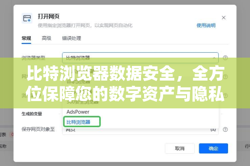 比特浏览器数据安全，全方位保障您的数字资产与隐私