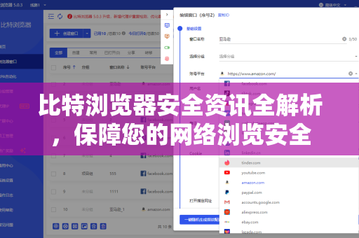 比特浏览器安全资讯全解析，保障您的网络浏览安全